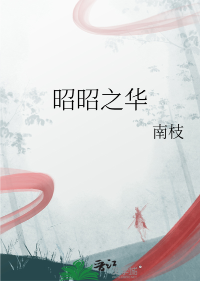 昭昭之华